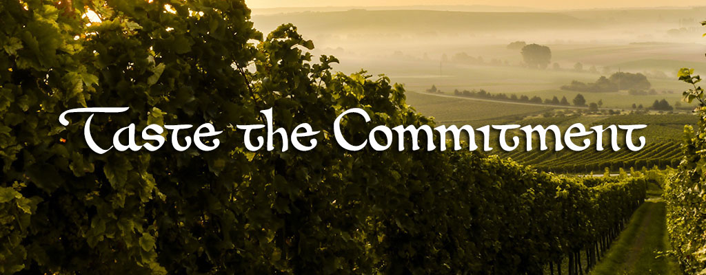 Sunlight shining on a lush vineyard with the words Taste the Commitment in front